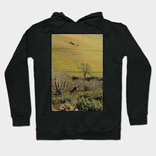 So Green Is The Valley Hoodie